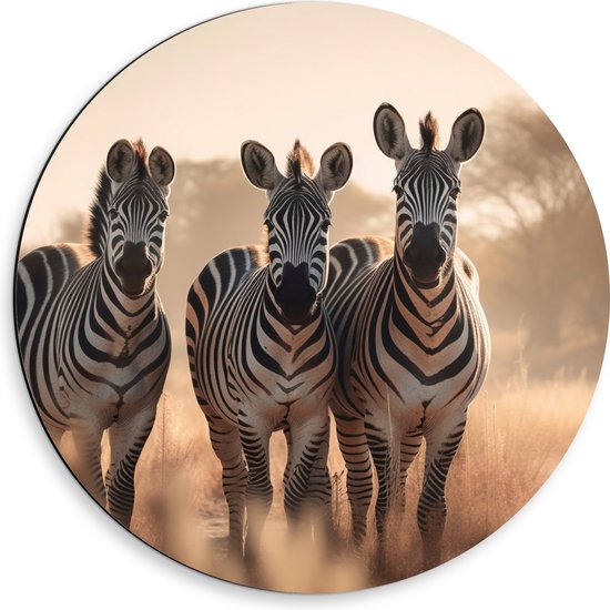 Dibond Muurcirkel - Drie Zebra's in Droog Landschap - 50x50 cm Foto op Aluminium Muurcirkel (met ophangsysteem)