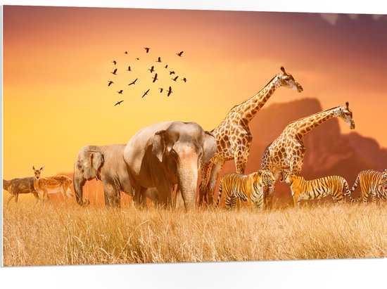 PVC Schuimplaat - De Dieren van het Afrikaanse Landschap - 105x70 cm Foto op PVC Schuimplaat (Met Ophangsysteem)