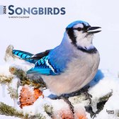 Songbirds Kalender 2024