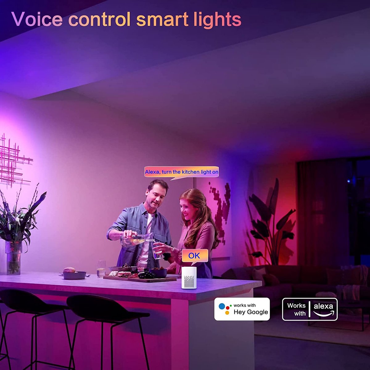 5m WiFi LED -lint, Smart Led Light Strip RGB 5050 12V Compatibel met Alexa  en Google