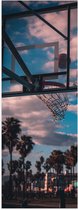Poster Glanzend – Bal Vallend in Basket bij Palmbomen - 40x120 cm Foto op Posterpapier met Glanzende Afwerking
