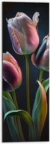 Dibond - Roze tulpen voor een zwarte achtergrond - Bloemen - 30x90 cm Foto op Aluminium (Met Ophangsysteem)