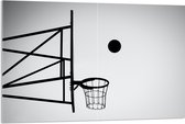 Acrylglas - Bal Vallend in Basket (Zwart-wit) - 120x80 cm Foto op Acrylglas (Met Ophangsysteem)