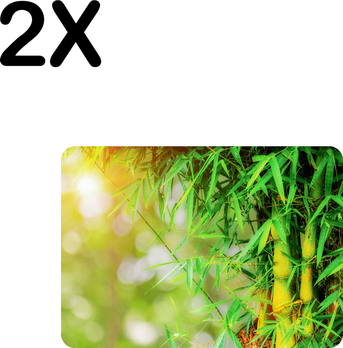 BWK Flexibele Placemat - Groene Bamboo - Set van 2 Placemats - 35x25 cm - PVC Doek - Afneembaar