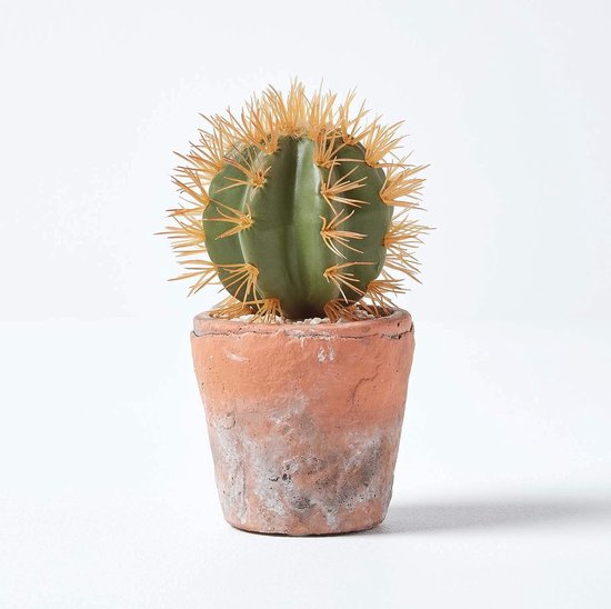 Arrangement voor kunstcactussen in houteffect pot