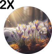 BWK Luxe Ronde Placemat - Krokussen in het Bos - Set van 2 Placemats - 40x40 cm - 2 mm dik Vinyl - Anti Slip - Afneembaar