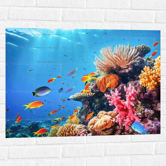 Muursticker - Felkleurige Koraal Omringd door Tropische Vissen op Zeebodem - 80x60 cm Foto op Muursticker