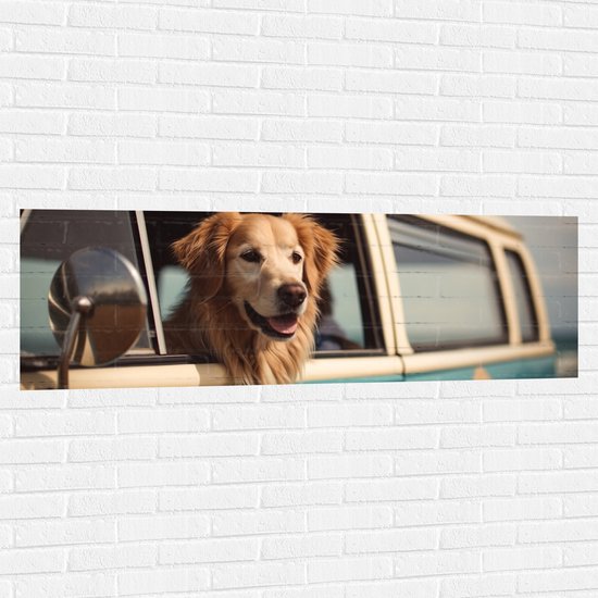 Muursticker - Golden Retriever Hond uit Raam van Blauw Busje - 150x50 cm Foto op Muursticker