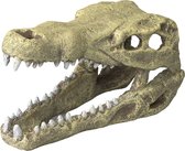 Ebi Decor Schedel Krokodil - Medium - 19.5x9.5x10.5 cm