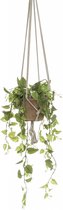 Fleurdirect Hangplant Philodendron - Polyester - Groen - 0 x 90 x 0 cm (BxHxD)