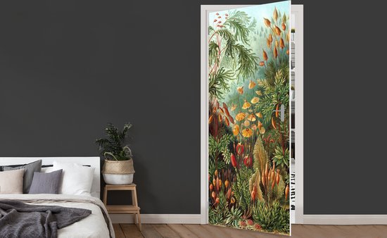 Sticker de porte Muscinae - Art - Maîtres anciens - 80x205 cm - Affiche de porte
