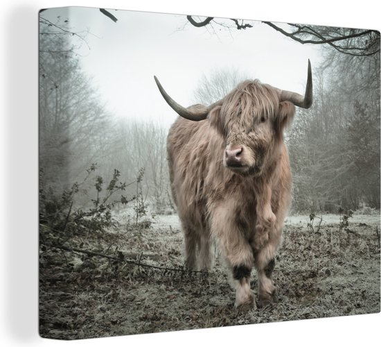 OneMillionCanvasses - Muurdecoratie - Schotse hooglander - Natuur - Herfst - Bos - 40x30 cm - Woonkamer - Slaapkamer - Canvas schilderij koe
