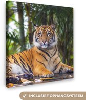 OneMillionCanvasses - Toile - Tigre - Arbres - Feuilles - Décoration Décoration murale - 20x20 cm - Toile - Peintures sur toile