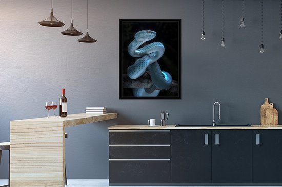 Affiche avec cadre Serpent bleu - 60x80 cm