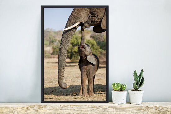 Cadre photo avec affiche - Bébé éléphant communique avec sa mère - 40x60 cm - Cadre pour affiche