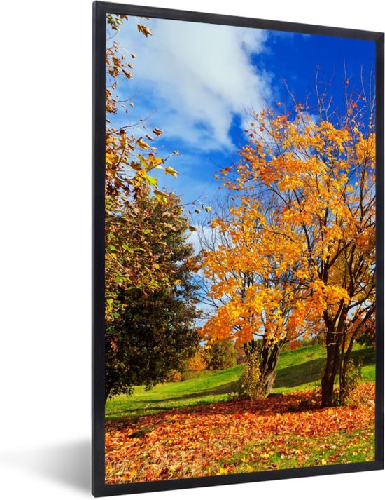 Cadre photo avec affiche - Arbre - Feuilles - Automne - Saisons - 40x60 cm - Cadre pour affiche