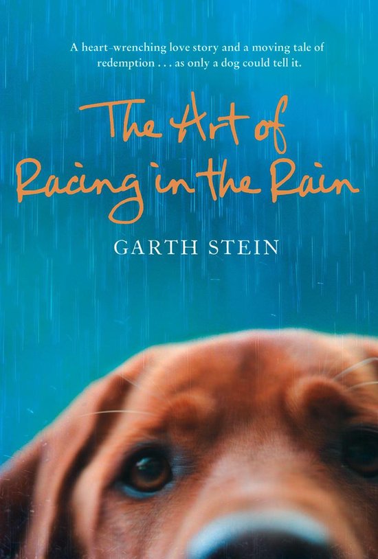 The Art of Racing in the Rain - cover