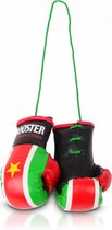 Booster - Bokshandschoenen Carhanger mini voor in de auto - Suriname