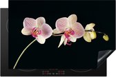 KitchenYeah inductie beschermer 81x52 cm - Bloemen orchidee - Kookplaataccessoires roze - Afdekplaat voor kookplaat - Anti slip mat - Keuken decoratie inductieplaat - Inductiebeschermer accessoires - Inductiemat - Beschermmat voor fornuis
