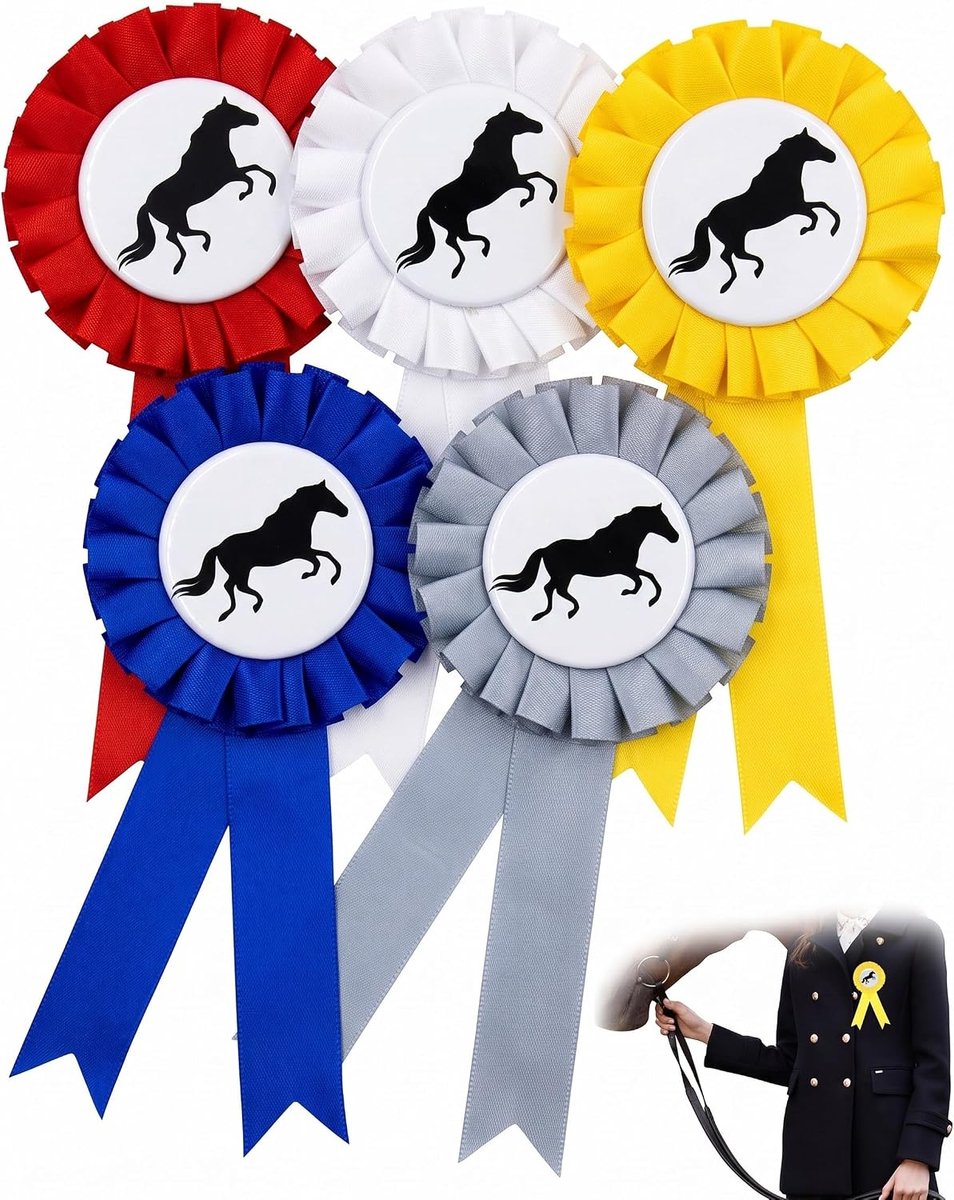 5 stuks broche-naaldhouders van licht plaatstaal met veiligheidsspeld, zweetbestendige banden voor paardenprijzen, feestaccessoires, hobbypaard, kinderen, paardenliefhebbers, 5 stuks