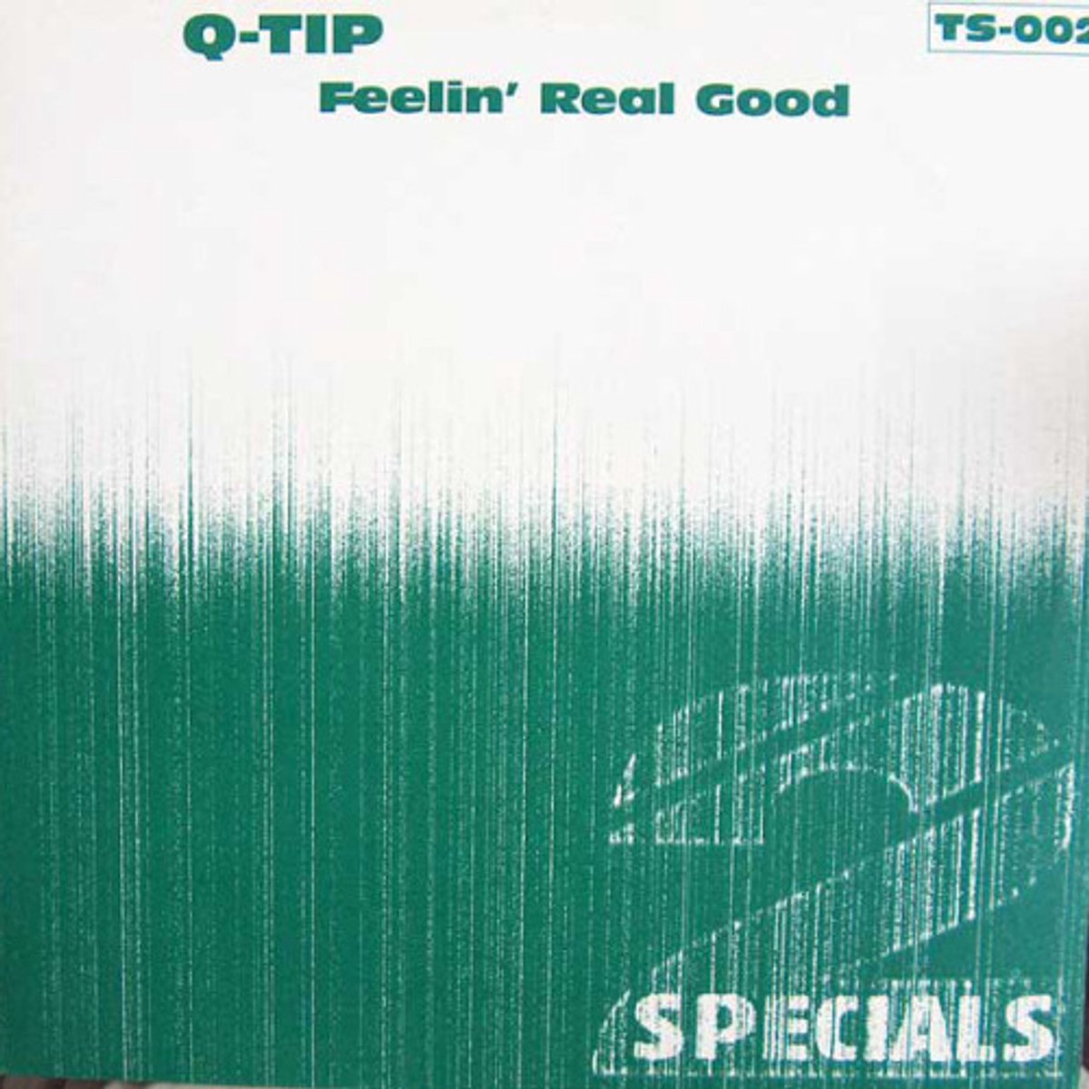 Q-tip - Feelin' Real Good