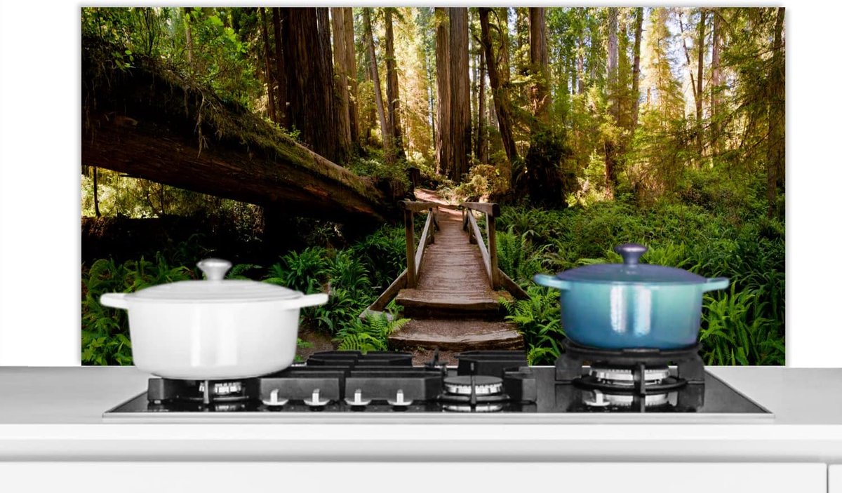 Spatscherm Keuken - 120x60 cm - Jungle - Natuur - Trap - Bomen