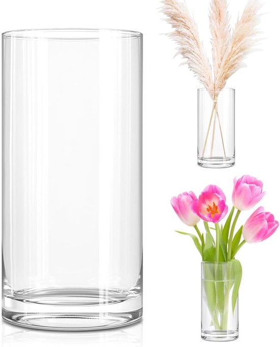 Dailygoods- Glazen Vaas Cilinder 25 cm Hoog - Transparant - Bloemenvaas - Decoratie - Tafeldecoratie - Veilig verpakt