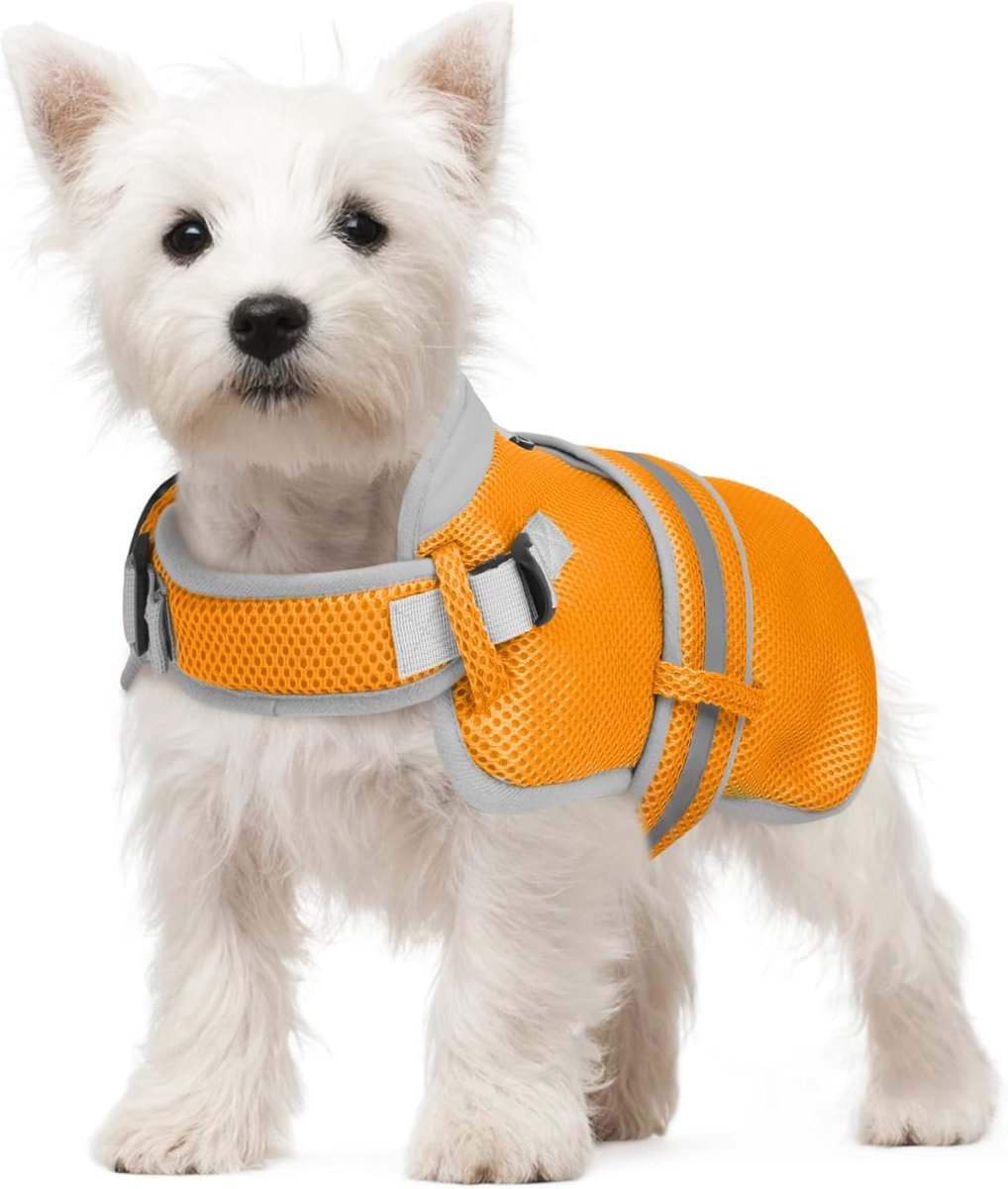 Hondenkoelvest voor kleine middelgrote grote honden | Effectieve koeling door ademend mesh – Verstelbaar, reflecterend & veilig | Zomerjas voor wandelingen, hiken (Oranje, S)