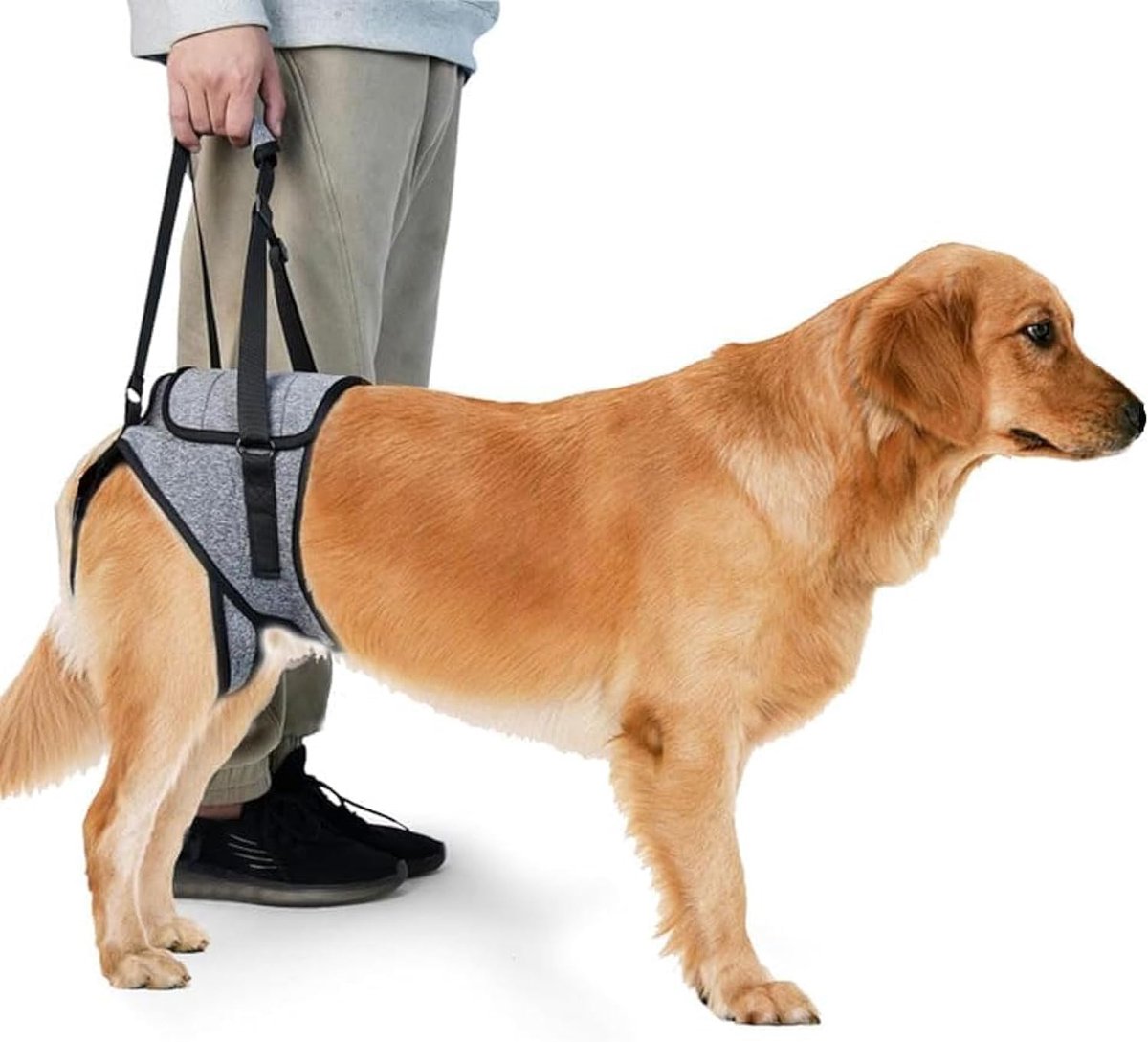 hondenharnas voor achterpoten, hulpriem voor honden, achterpoten voor oudere en gewonde honden (XL)