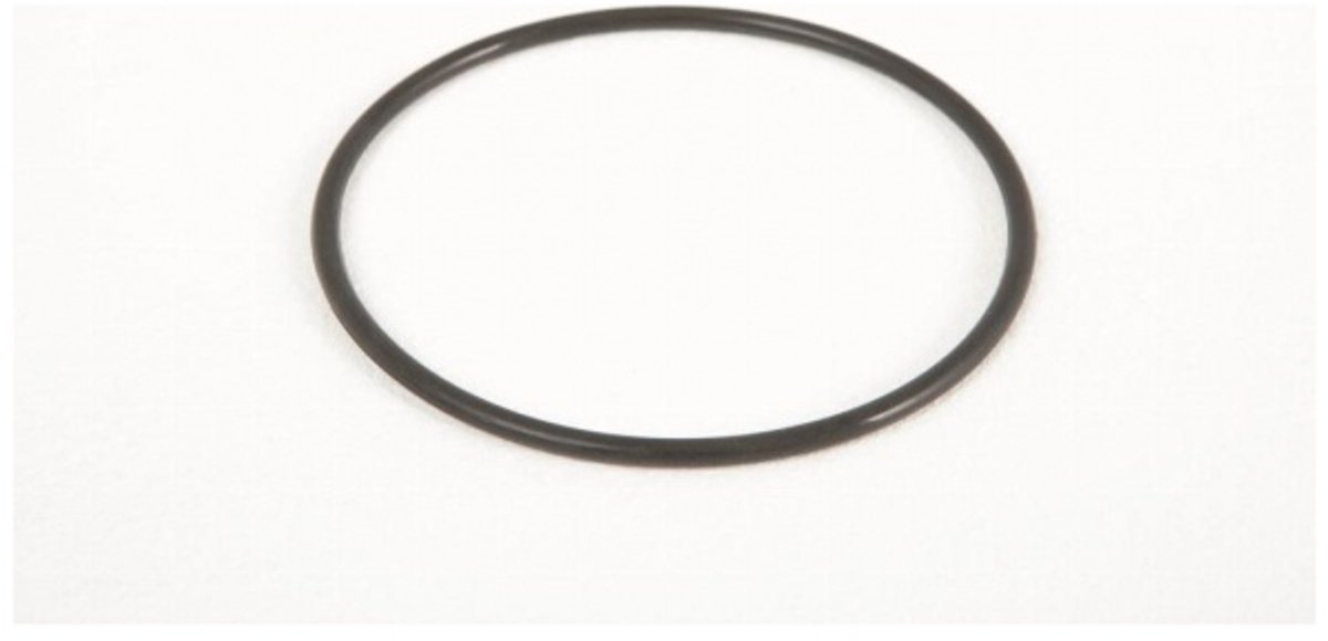 Bestway Strainer O-ring for Sand Filter except 530gal