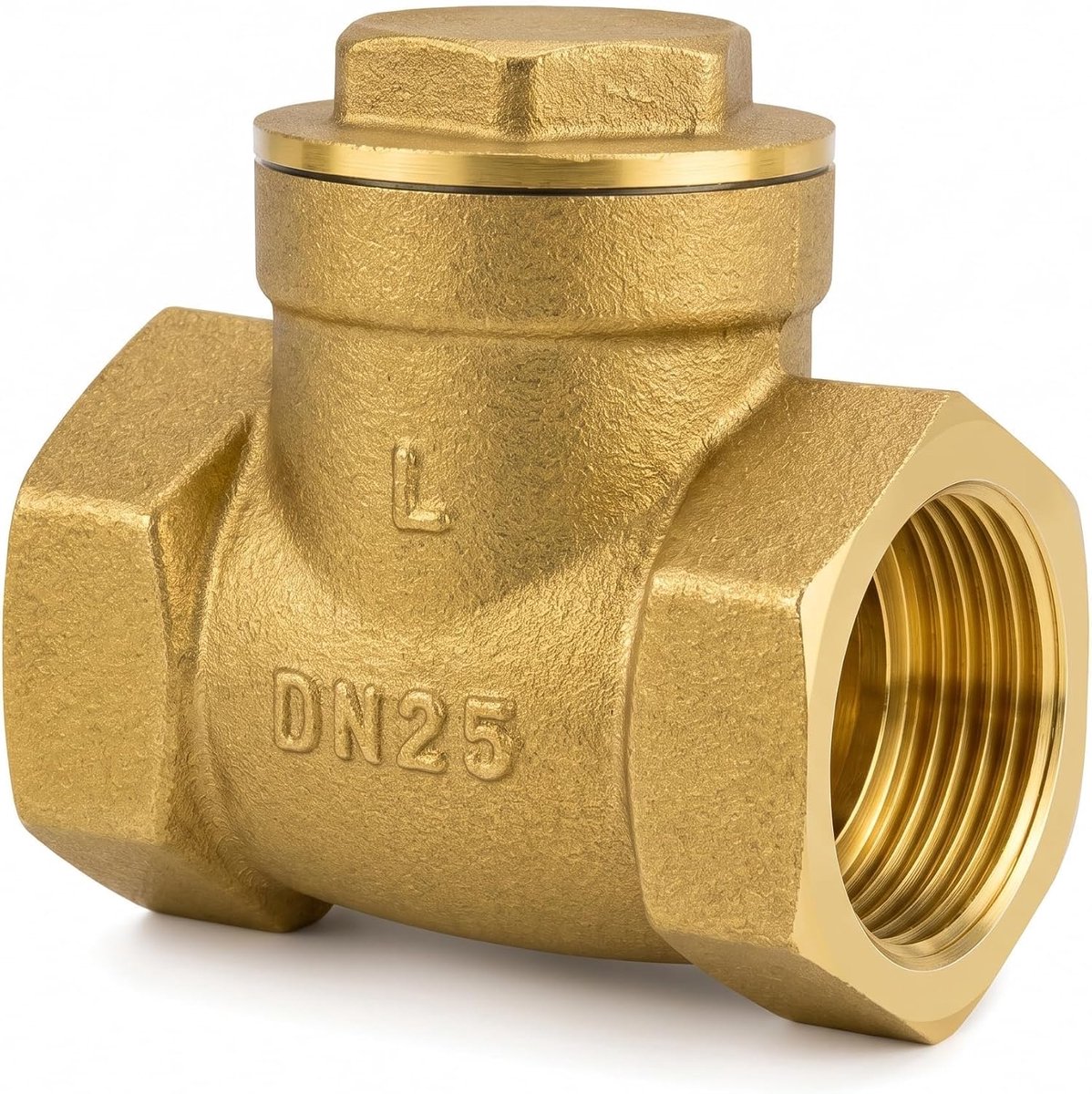 Terugslagklep 1 Inch DN25, Horizontaal Terugslagventiel voor Water