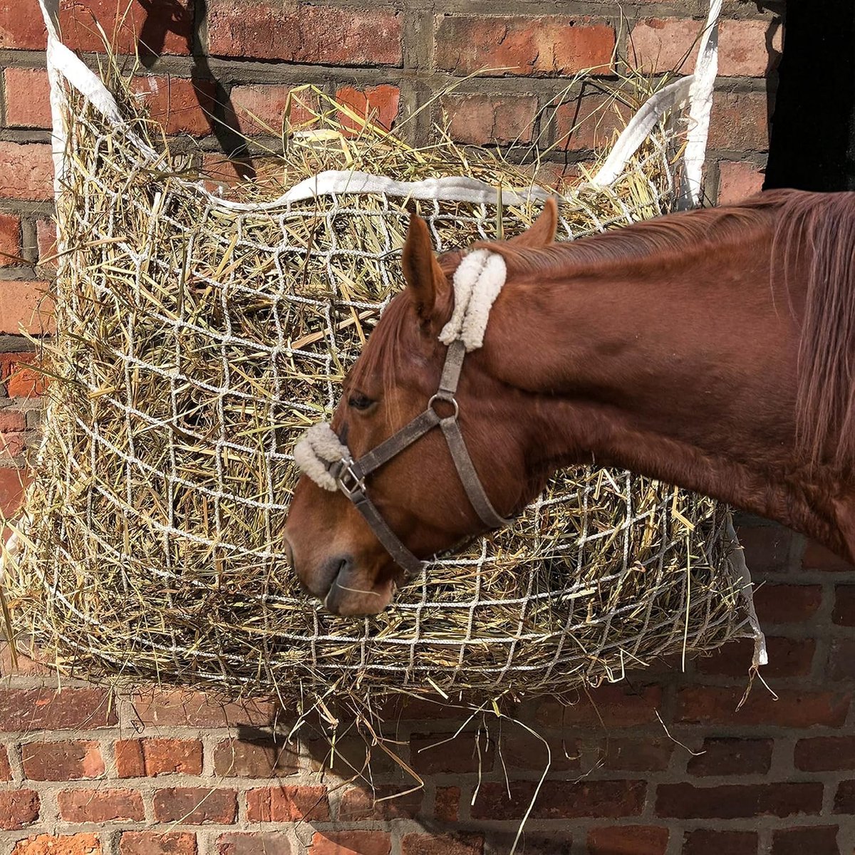 Hunnet voor paarden vierkant in wit fijnmazig hunnet 5x5 cm voor langere eettijd, 70cm x 80cm, vulgewicht 4,5kg