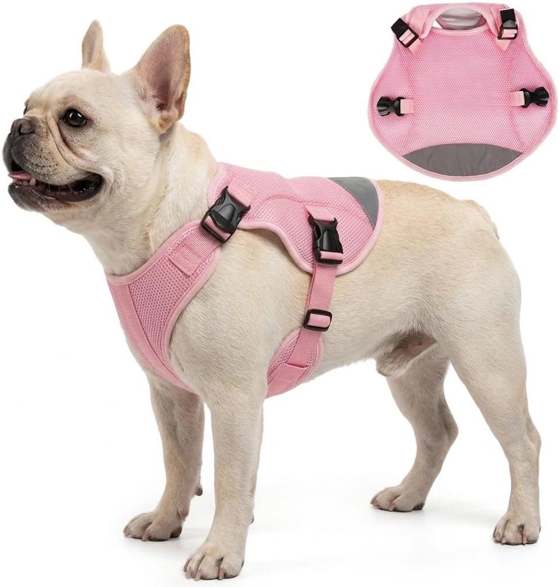 Koelvest voor honden, S, lichtgewicht, ademend, koel jack voor kleine honden, verdampingskoeling, absorberende stof, reflecterende strepen, gemakkelijk aan te trekken gesp