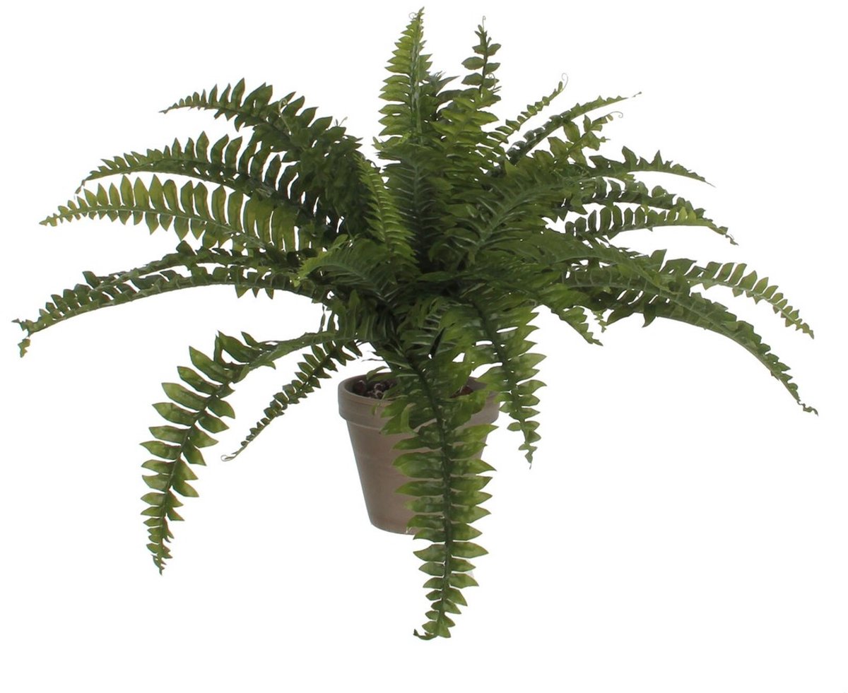 Mica Decorations Varen Kunstplant in Bloempot Stan - H40 x Ø70 cm - Groen