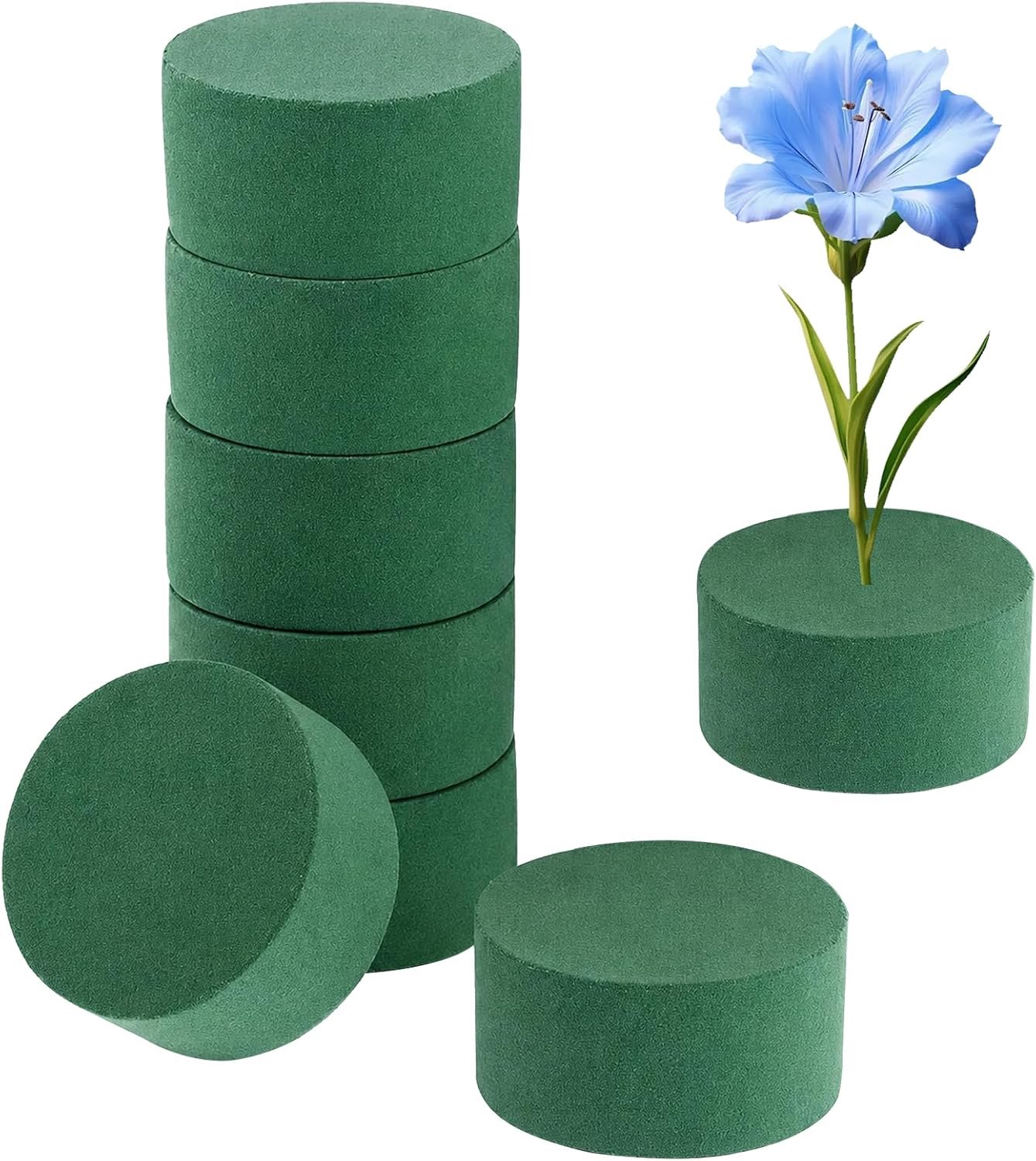 Cilindrische bloemenfoam 8 x 4 cm - Groene set van 8 - Stabiel voor bloemstukken - Perfect voor decoraties - Vemera