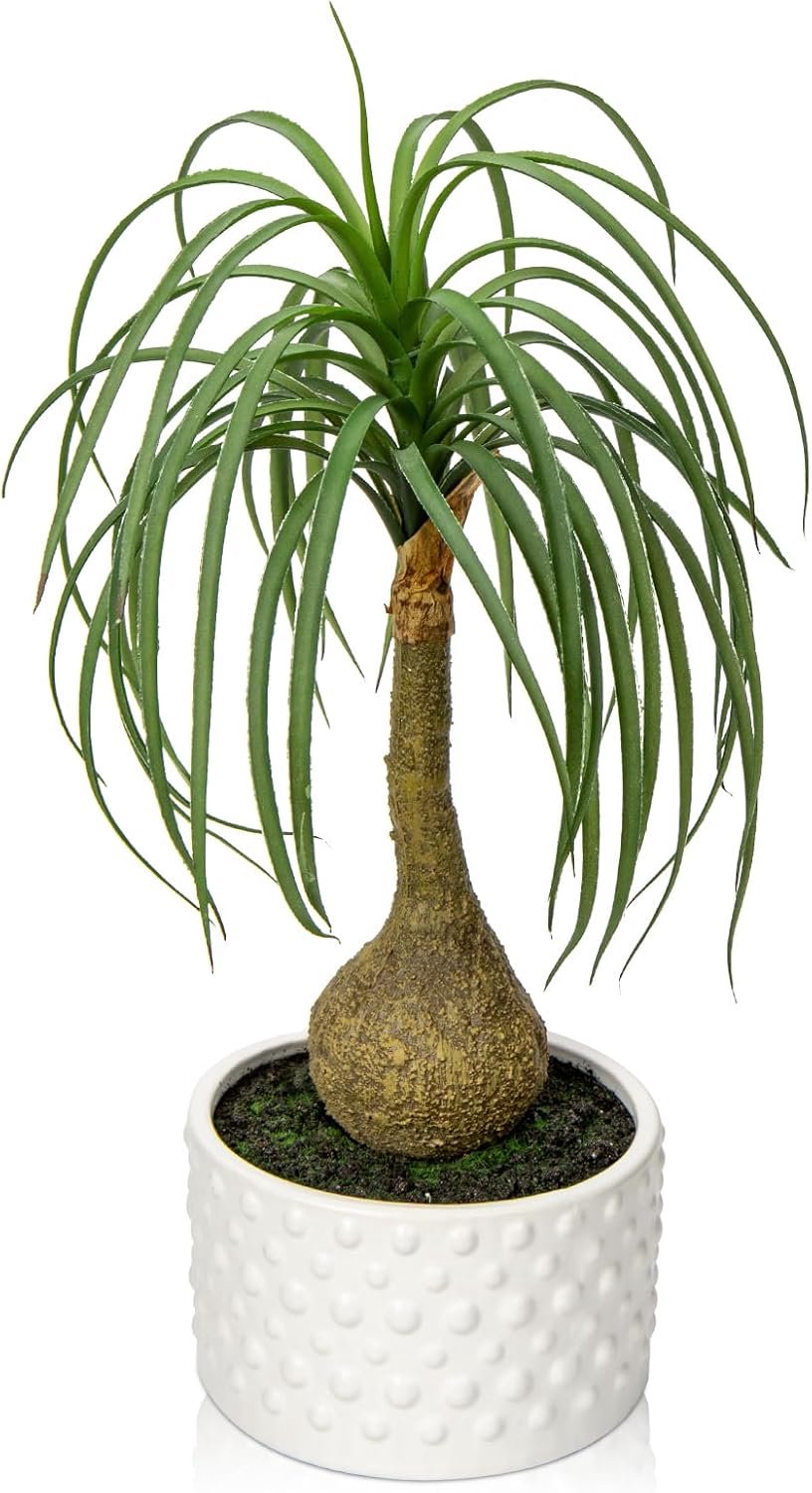 SnelShoppen - 41CM Kunstplant in Keramieken Pot - Realistische Ponytail Palm Plant - Faux Bonsai Boom voor Thuisdecoratie - Ideaal voor Kantoor, Badka