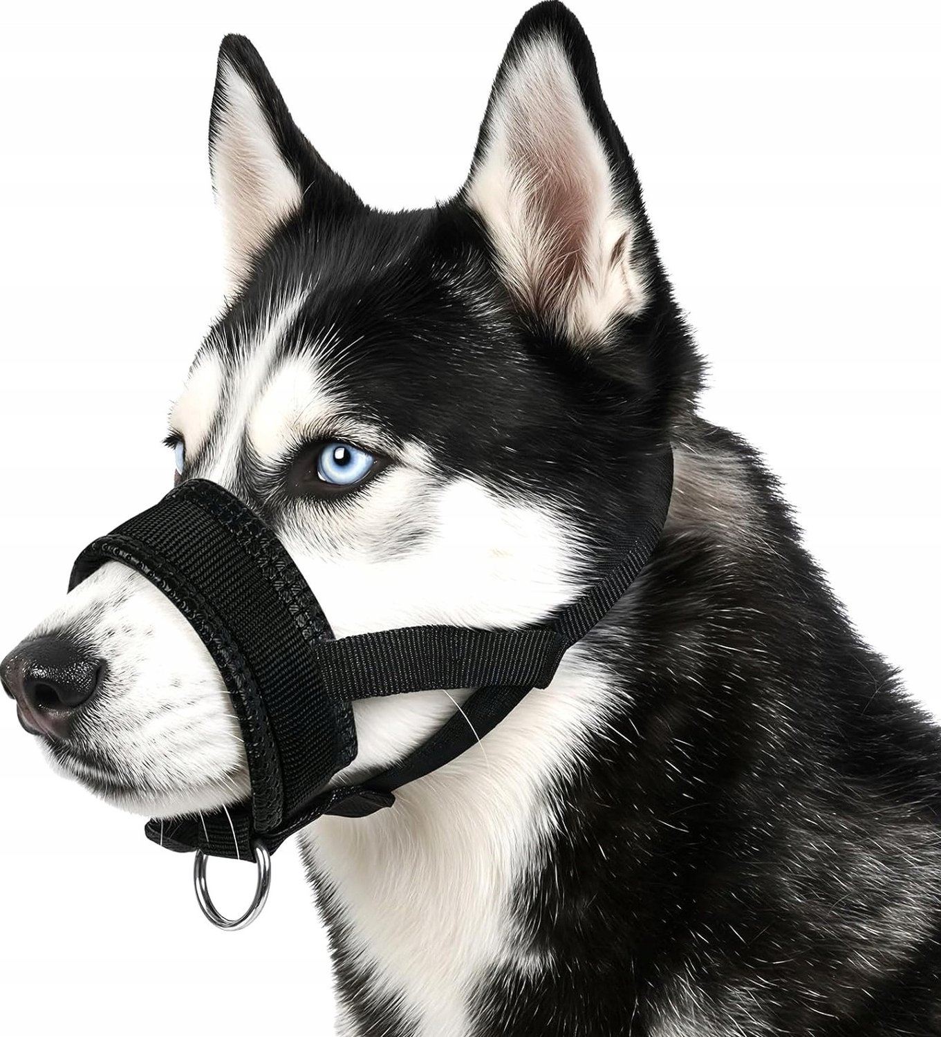 Verstelbare Nylon Hondenkennel - Comfortabel & Ademend