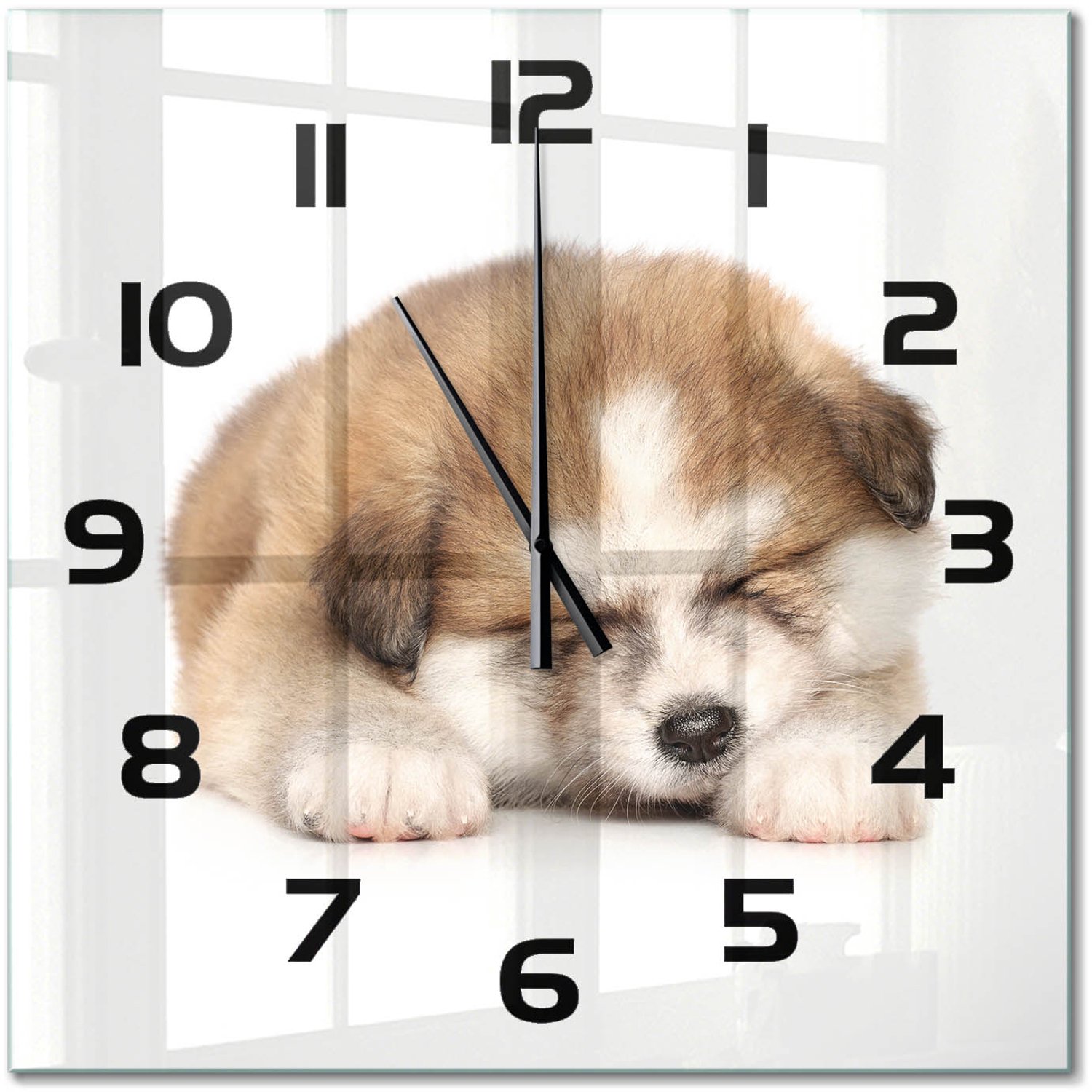 TULUP Wandklok - Akita-puppy Wandklok Glas Met Motief - 60x60 cm - Oranje Decoratieve Glazen Klok - Zwarte handen - Vierkante Klok - Gekleurde Glazen Klok - Glazen Klok Met Print