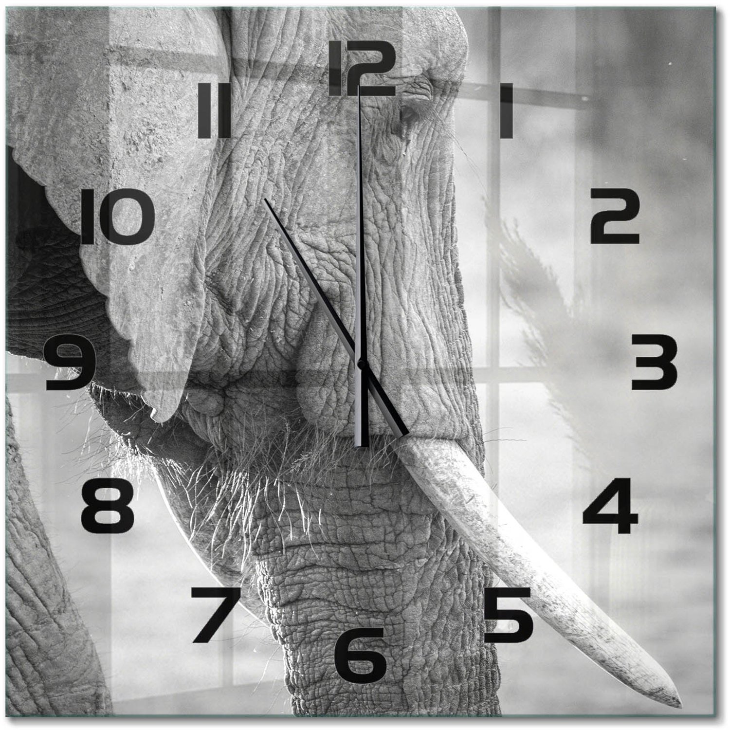 TULUP Wandklok - Olifant Klok Glas Met Opdruk - 60x60 cm - Zwart-wit Moderne Wandklok Glas - Zwarte handen - Vierkante Klok - Decoratieve Glazen Klok - Glazen Wandklok Design