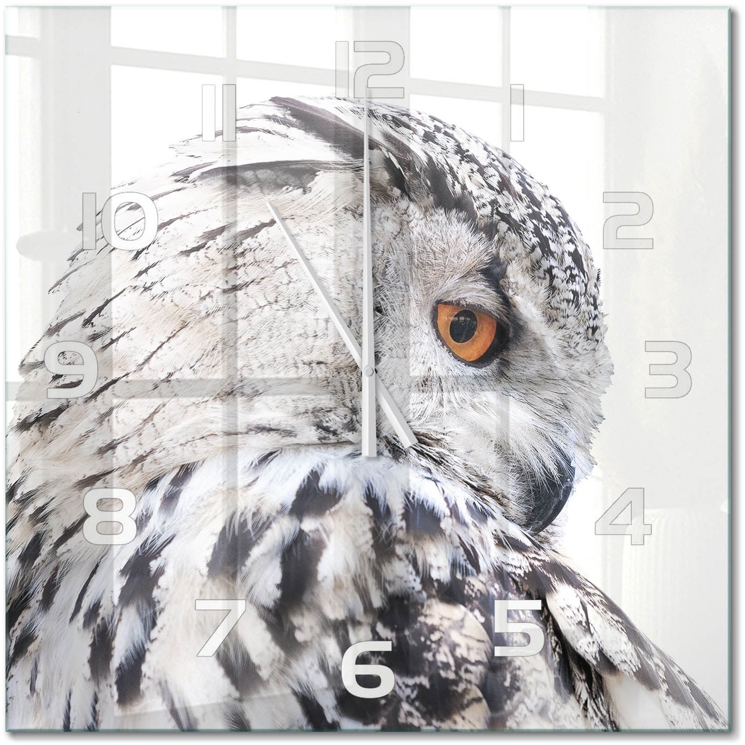 TULUP Wandklok - Witte Uil Glazen Wandklok Design - 60x60 cm - Wit Klok Glas Met Opdruk - Witte handen - Vierkante Klok - Wandklok Glas Met Motief - Decoratieve Glazen Klok