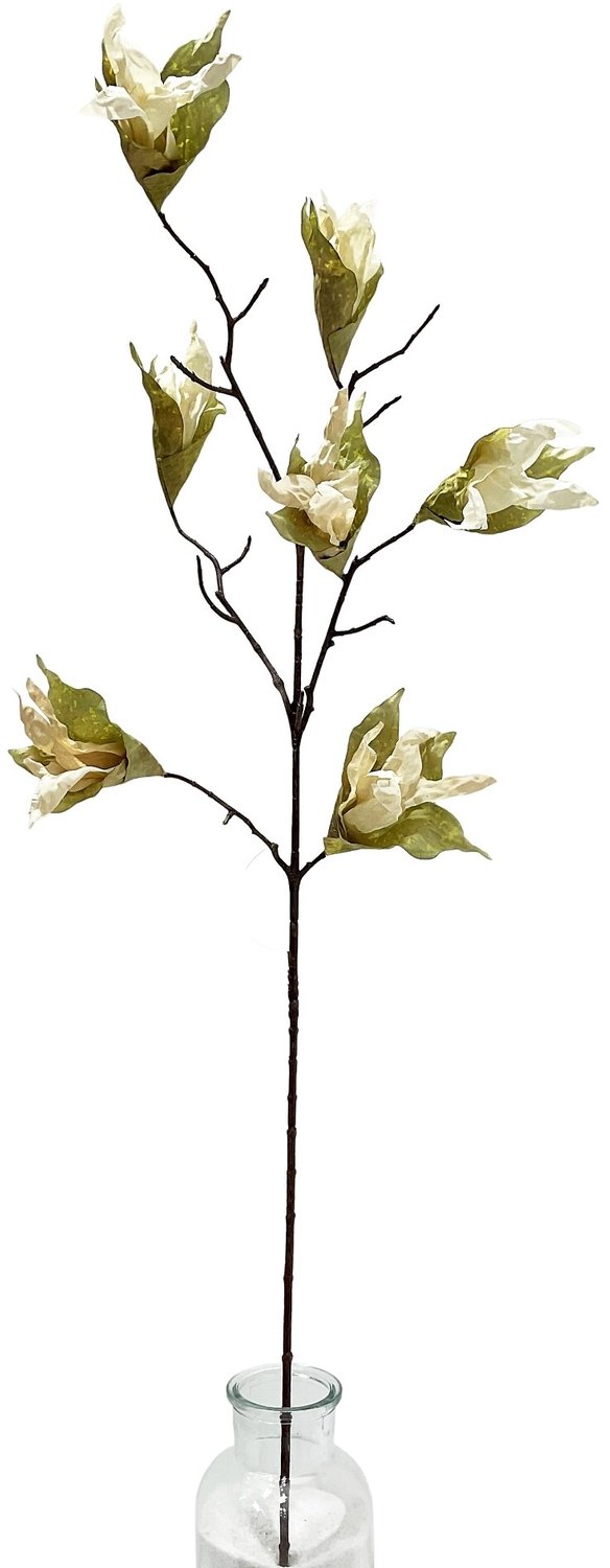 homebound by ky Kunsttak gedroogde Magnolia 89cm off-white Beige
