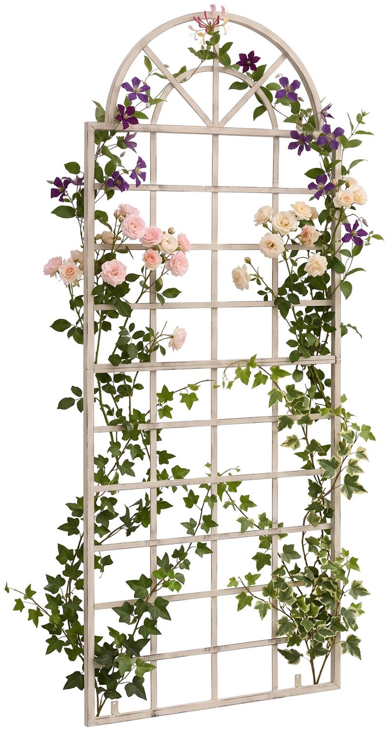CLP Plantenklimrek Viva - Wandmontage - Voor Rozen en Klimop - antiek/creme