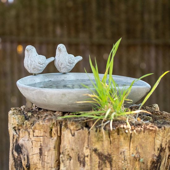 Vogeldrinkbak van beton met twee vogelfiguren, geplaatst op een boomstronk met groen gras.
