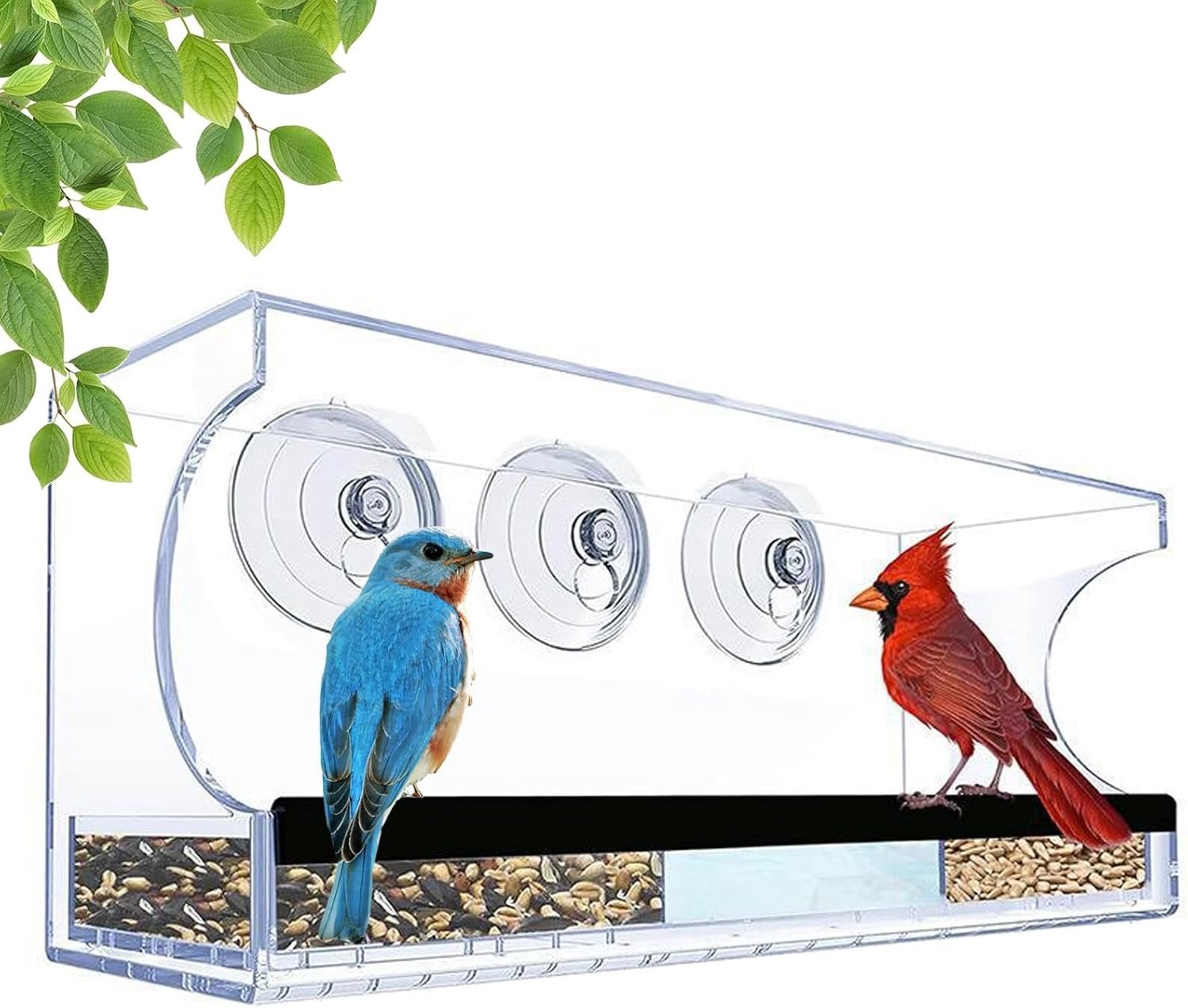 Vogelvoederstation met transparante acrylvoering, lekvrij, afneembaar, voor , voor binnen, ouderen, tuin, binnenplaats, terras en tuin