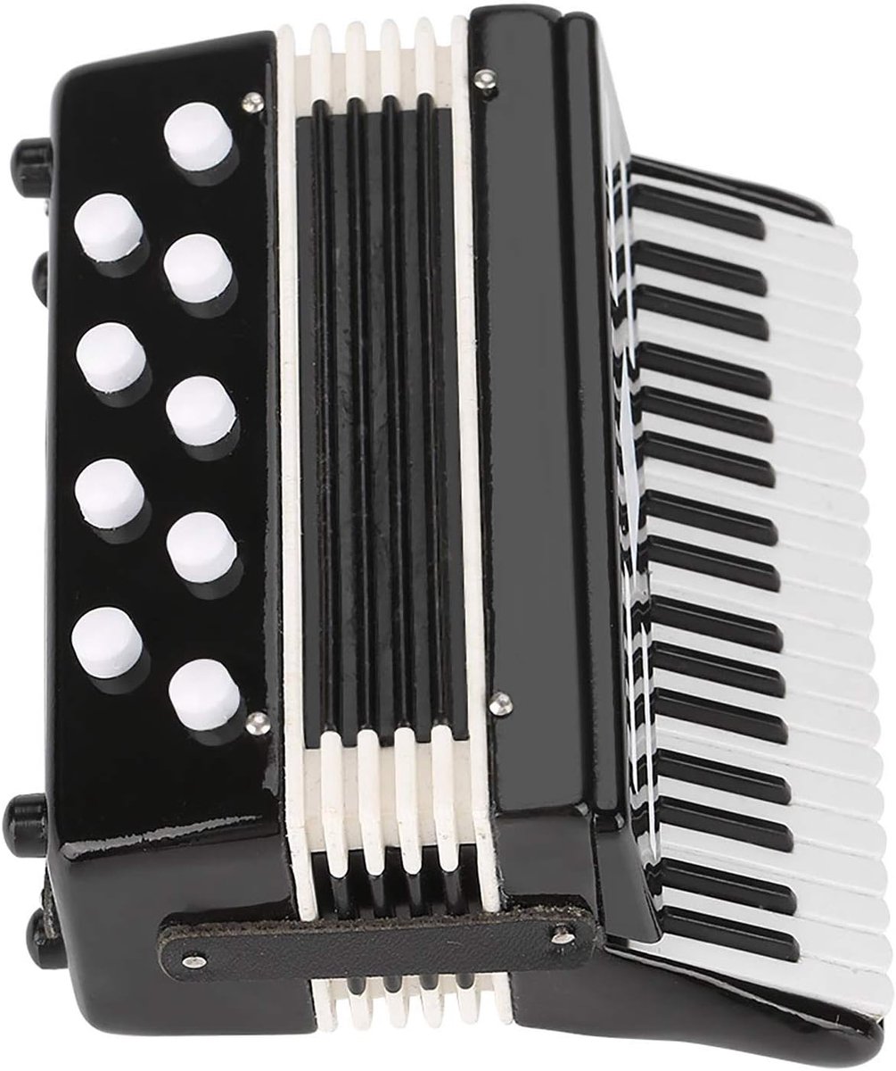 Accordeon-accordeon met Opbergdoos van Kunststof en Metaal voor Huisdecoratie