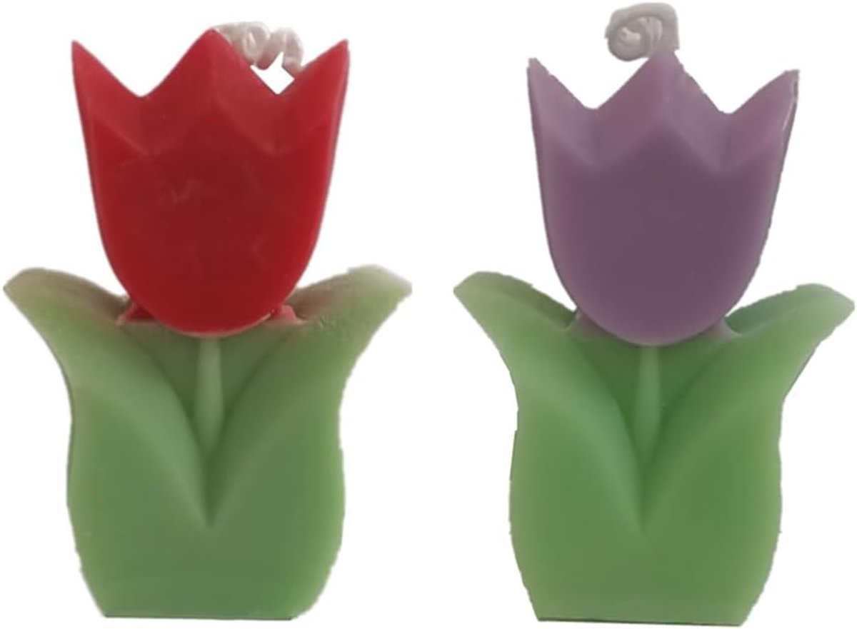 Dailygoods- Geurkaars - 2 stuks bloemvormige - Paraffine/Soja - Decoratie - Aromatherapie - 9x6,4x2,4 cm - Aangename sfeer - Aromatherapie Kaars