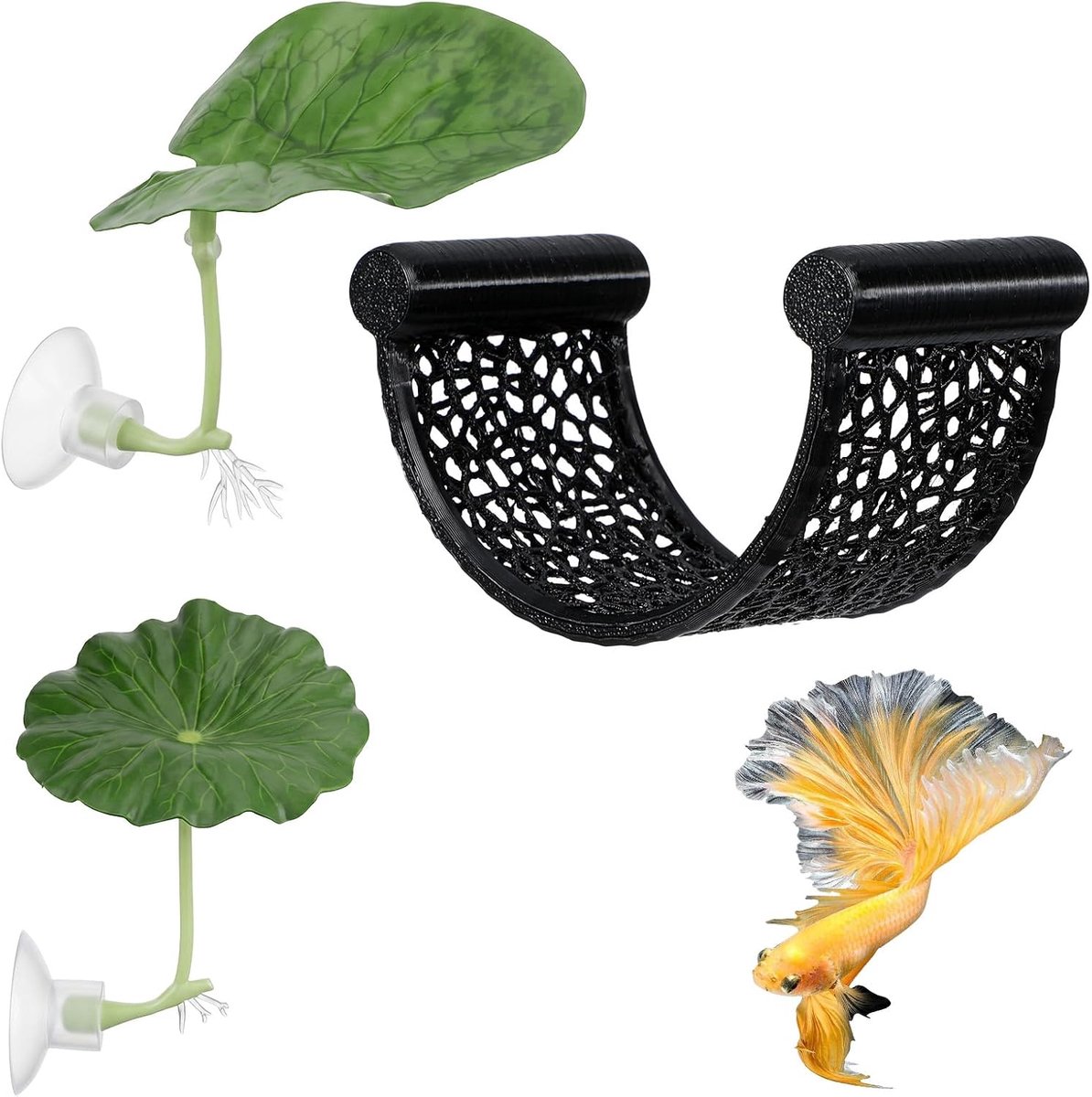 Vechtvis accessoires