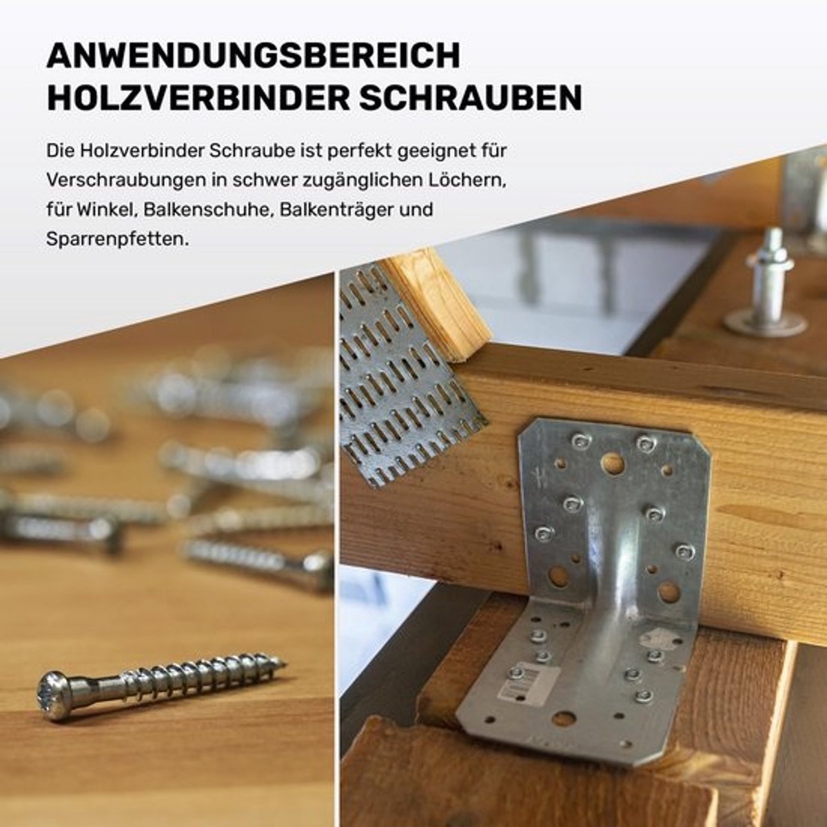 Houtverbindingsschroeven 30-70 mm TX20 Voorzinkende Kop Sterke Grip