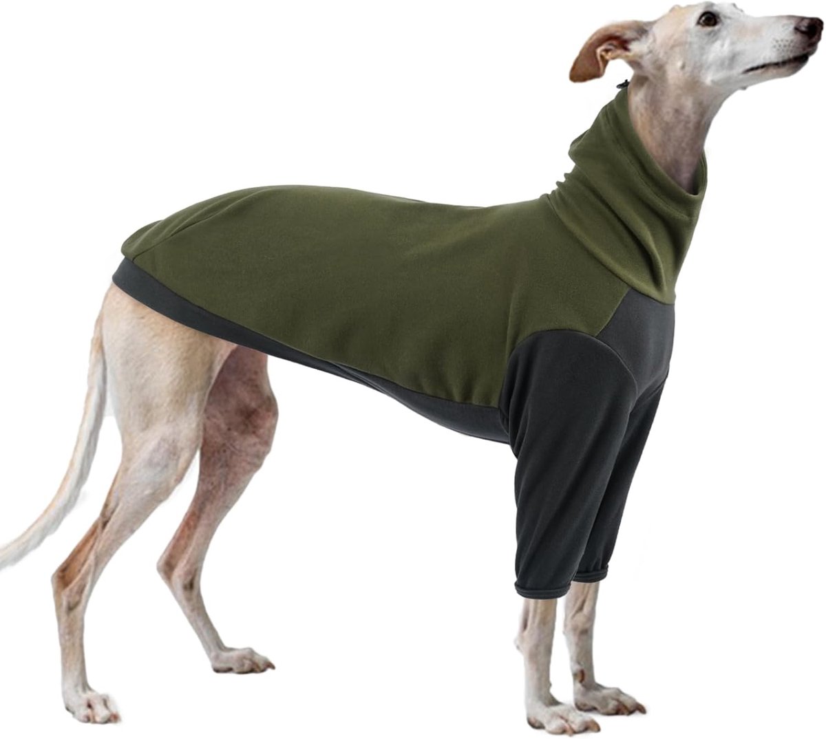 Windhond trui van fleece, Whippet jas van fleece Italiaanse Windhond hondenkleding winter warme Whippet trui (legergroen, XS)