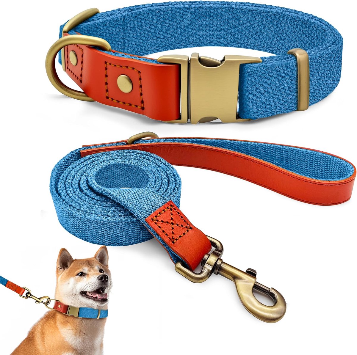 Halsband- en riemset L 38–58 cm, leer met nylon (blauw)